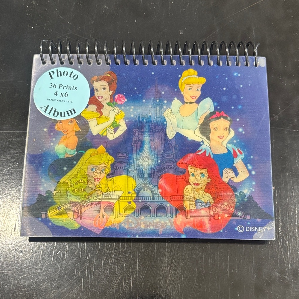Disney Princess Spiral Photo Album - Blue and Multicolor